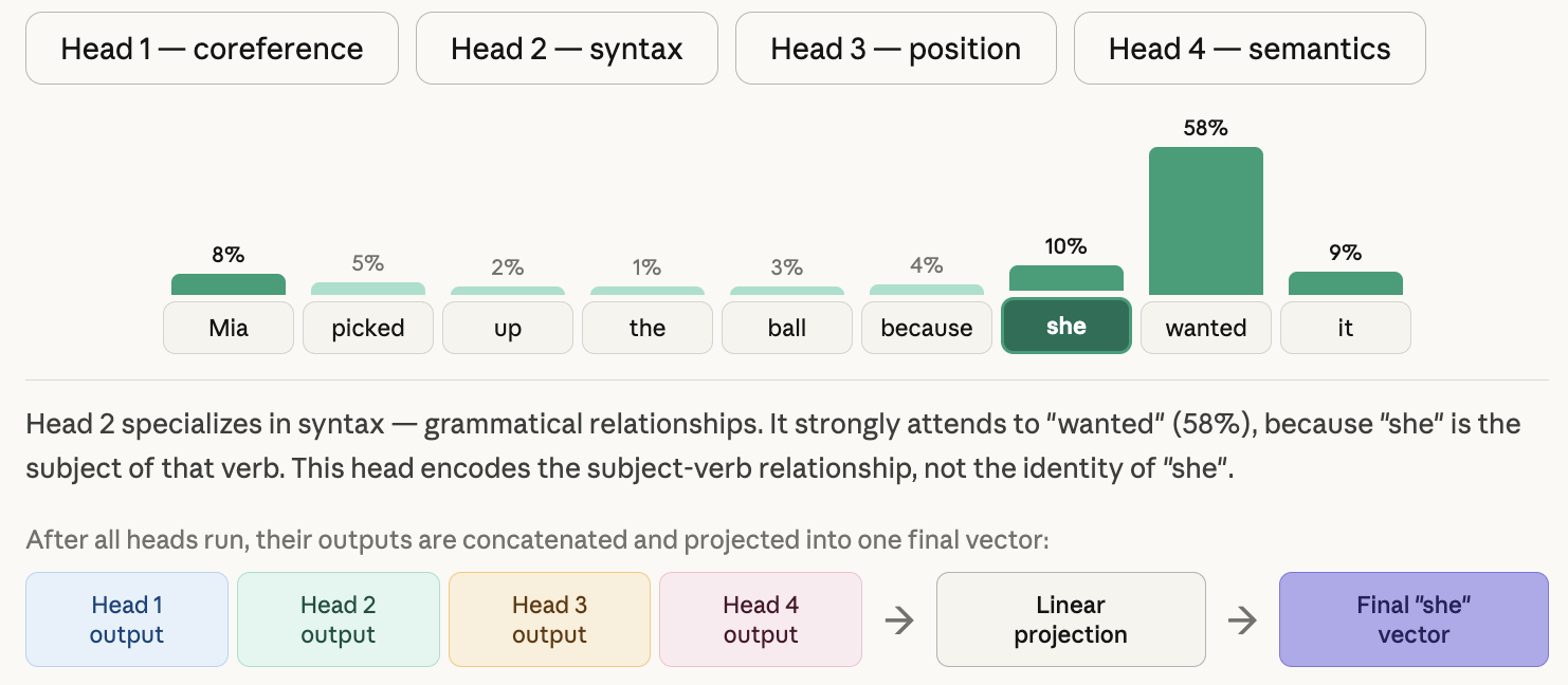 Visualization of Head 2&rsquo;s attention pattern, showing a different relationship structure than Head 1